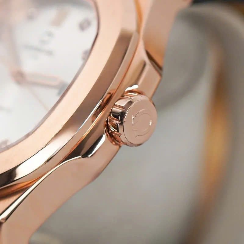 Carnival 8160G Rosegold Trắng ( 8160G-VH-T)