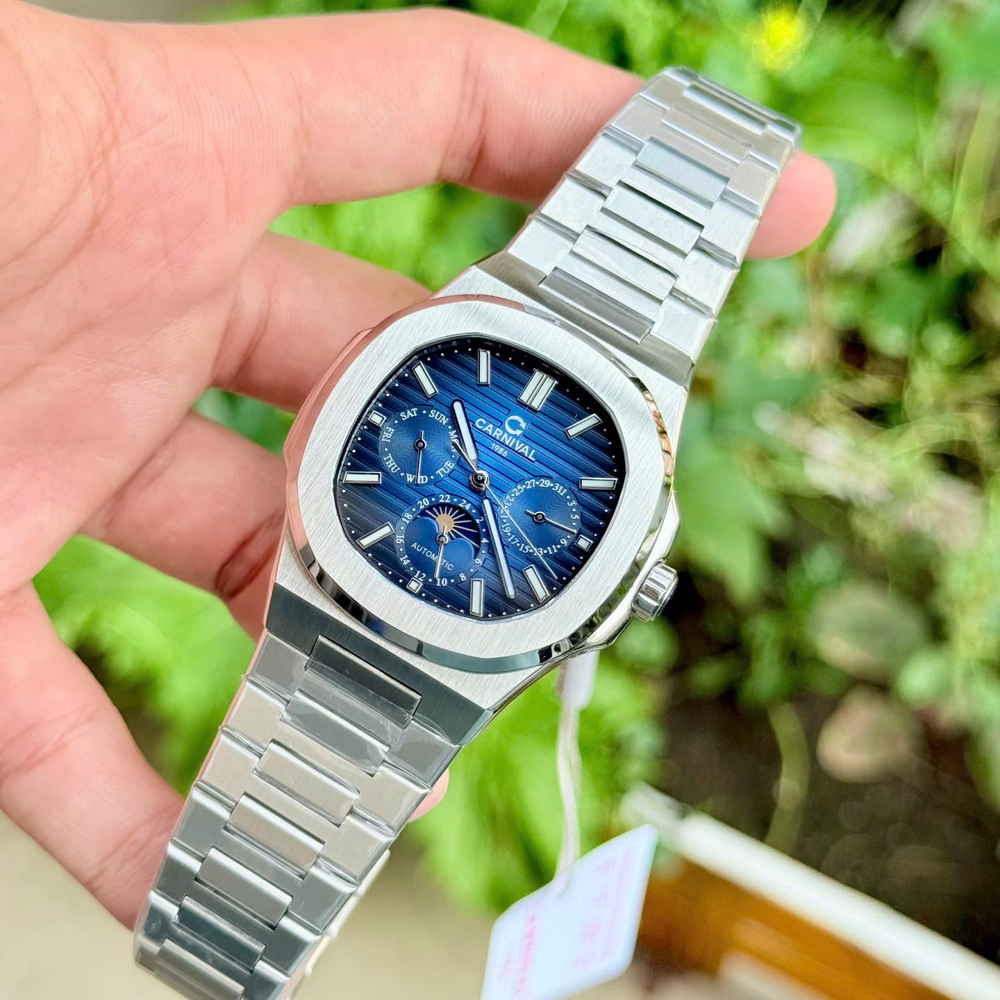 Carnival 8179G Bạc Xanh ( 8179G-VT-X)