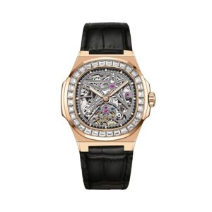 CARNIVAL 8118G2-VH-DD-T