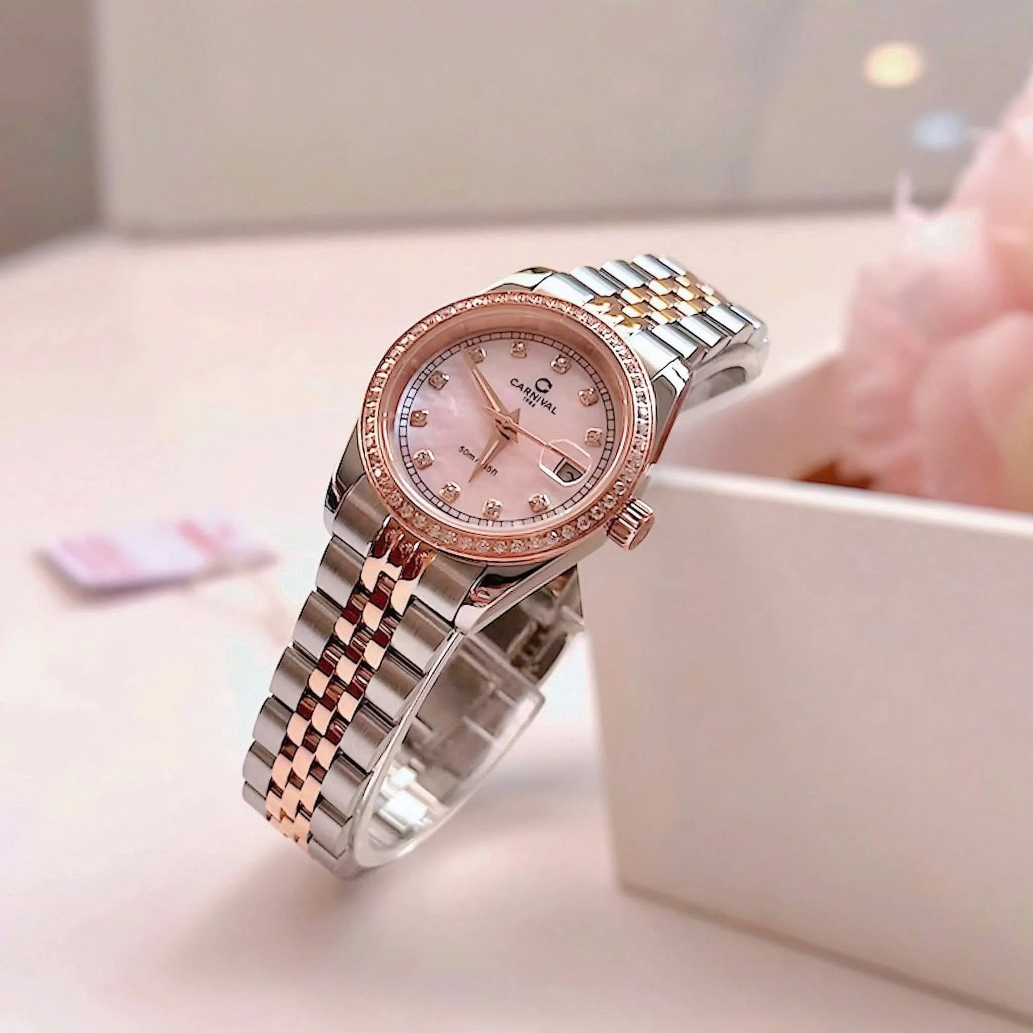 CARNIVAL 8131L2-CH-HK